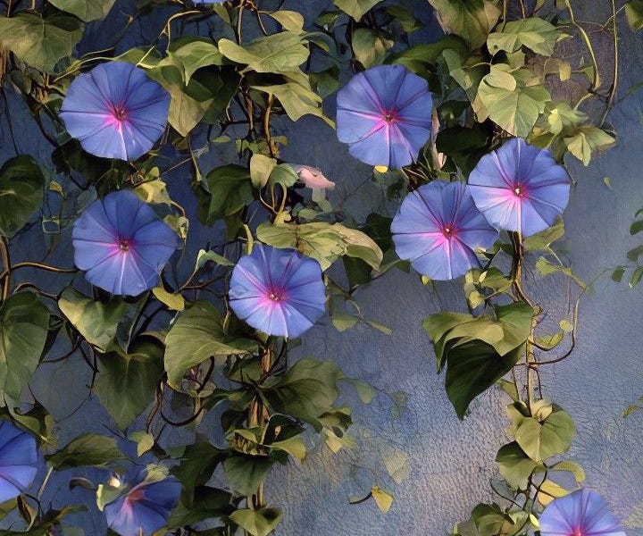 Thumbnail of Blooming Without a Future