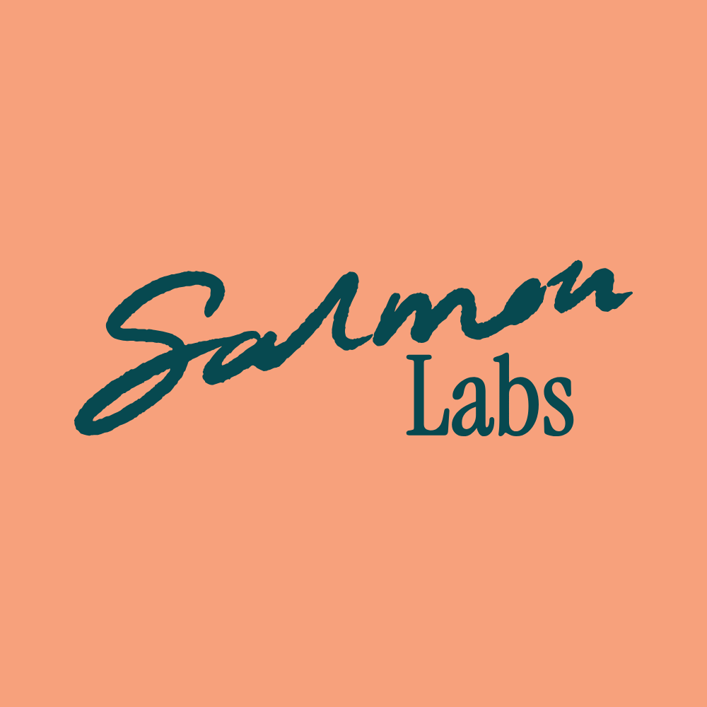 Thumbnail of It’s ok to sound dumb, and a few other practical ideas on how to lead people — Salmon Labs