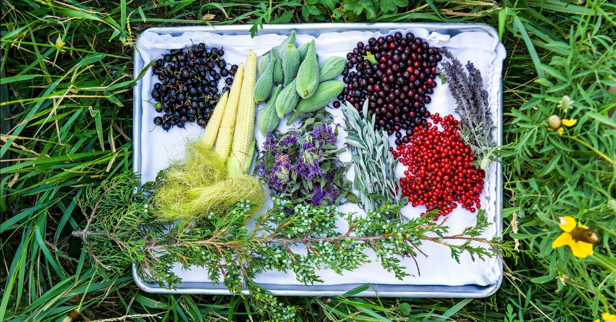 Thumbnail of The Thanksgiving Tale We Tell Is a Harmful Lie. As a Native American, I’ve Found a Better Way to Celebrate the Holiday