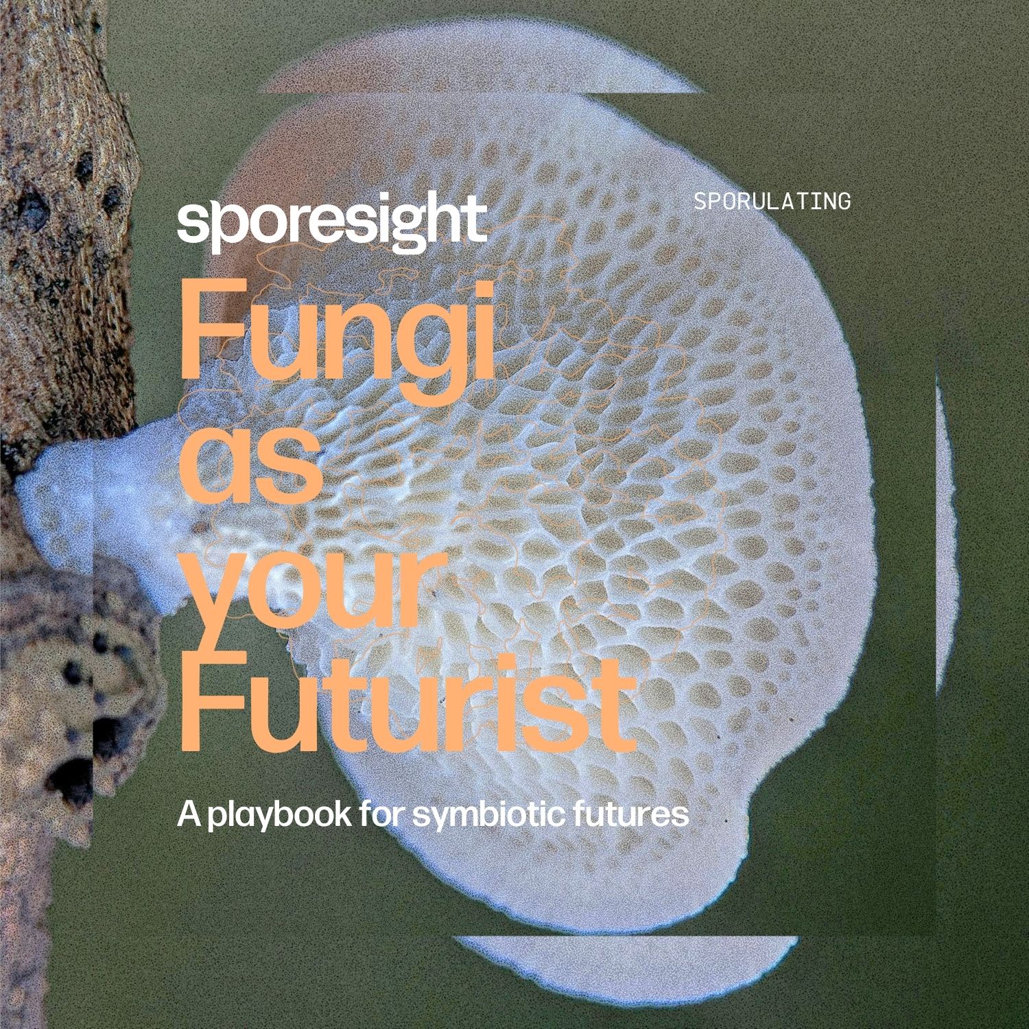 Thumbnail of Fungi as your Futurist: A Playbook for Symbiotic Futures