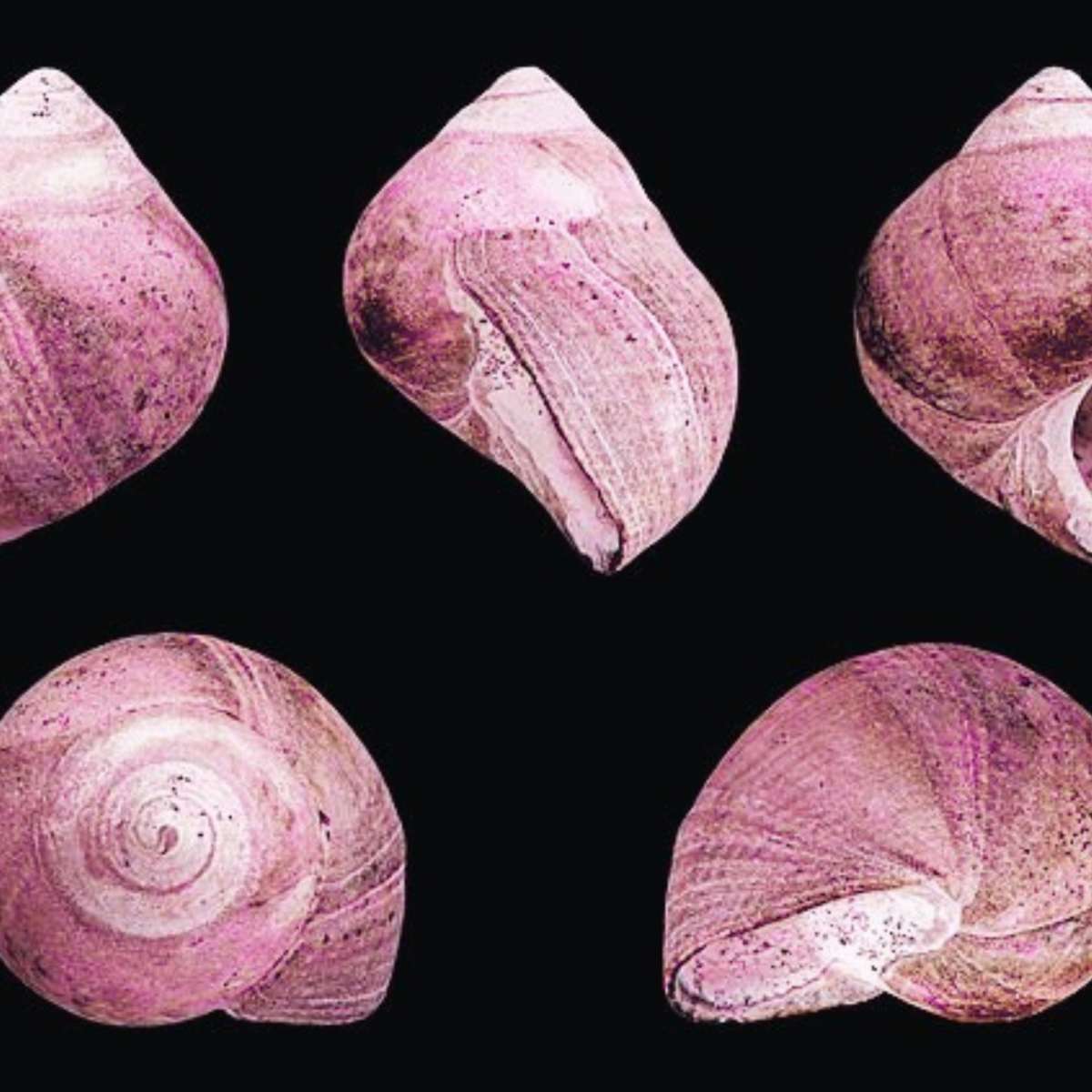 Thumbnail of Yearn in Review