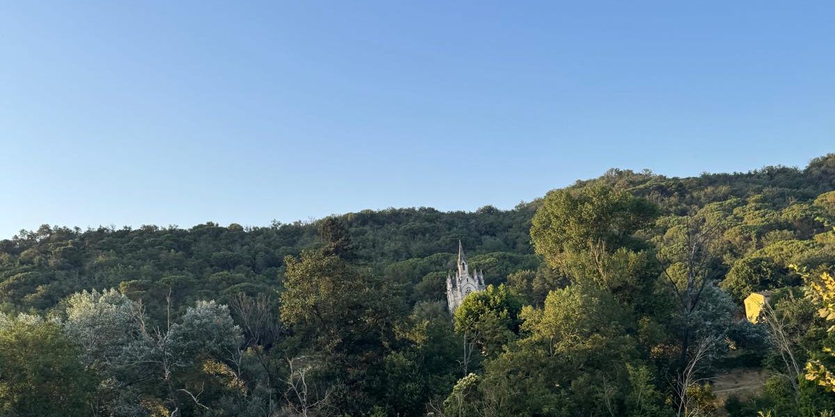 Thumbnail of Metascience Manquè