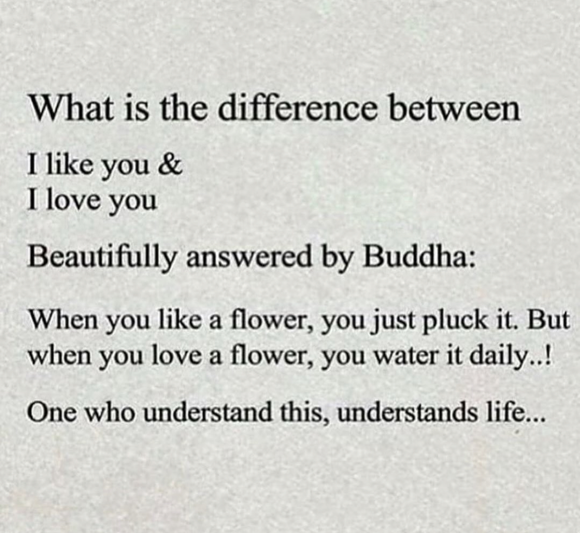 Preview of 6020-jpeg