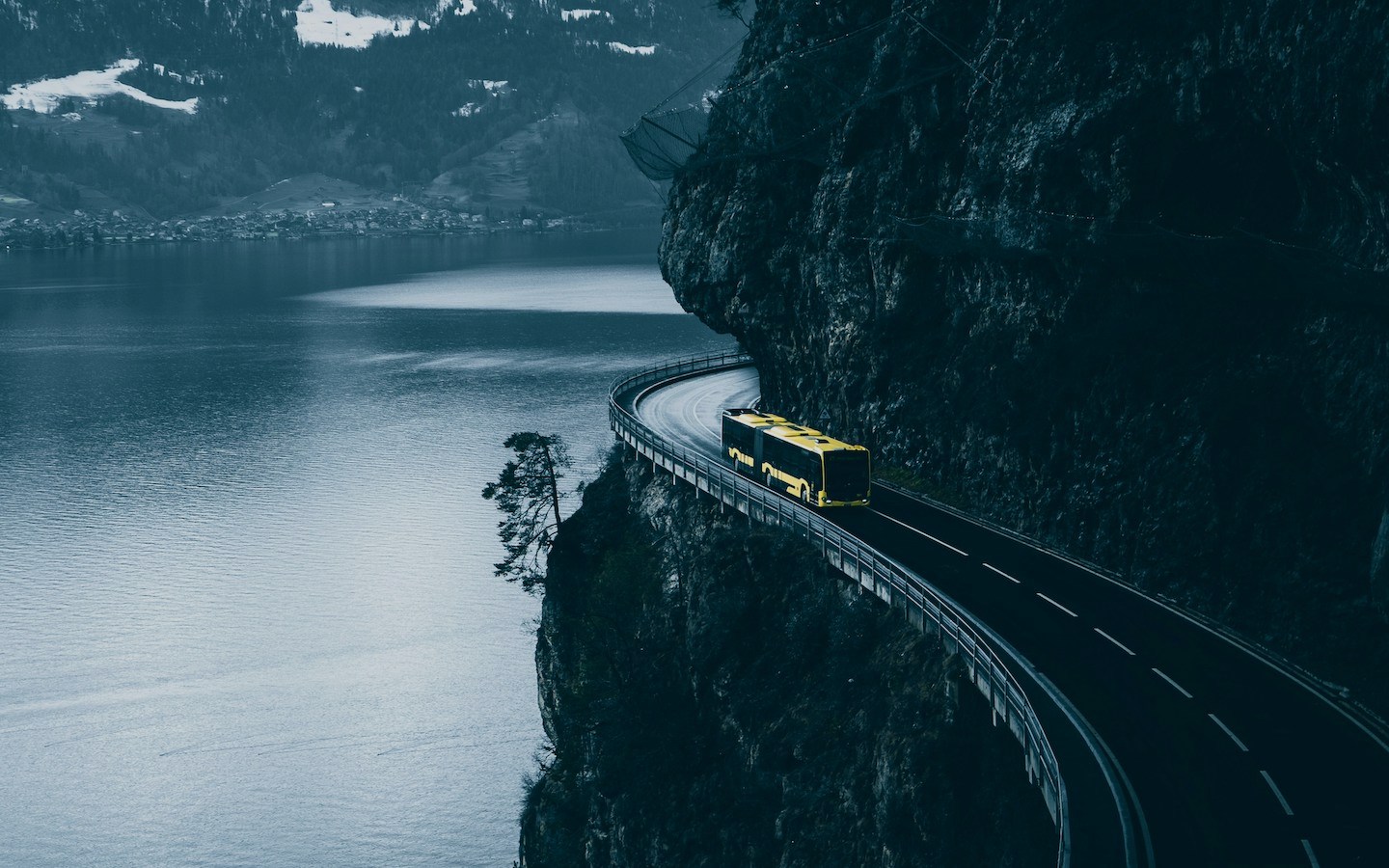 Thumbnail of Obvious Travel Advice