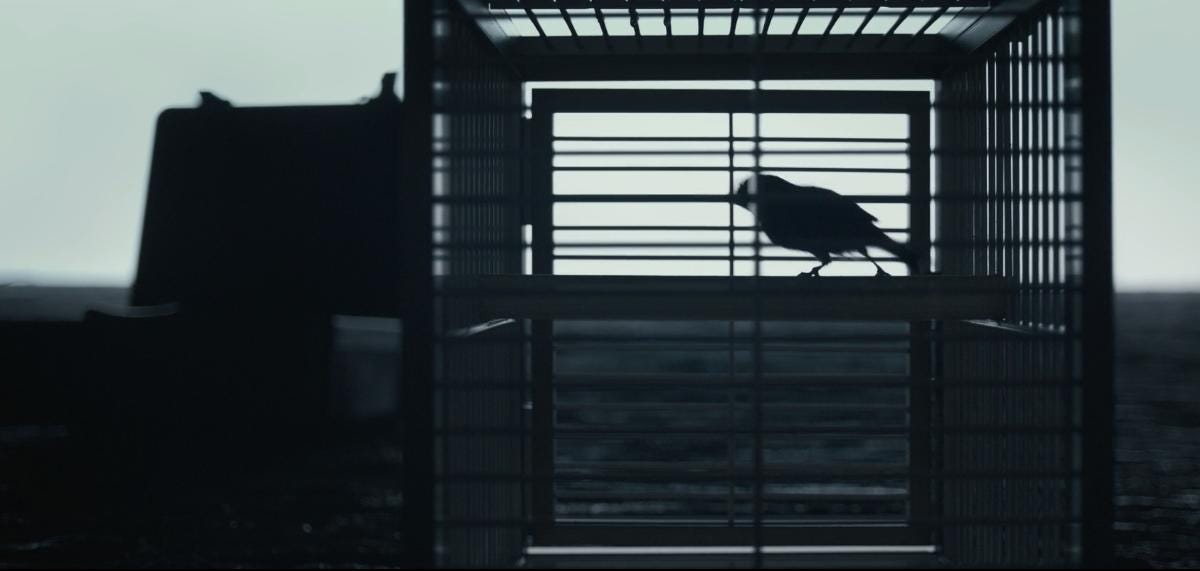 Thumbnail of Preparing for a Storm