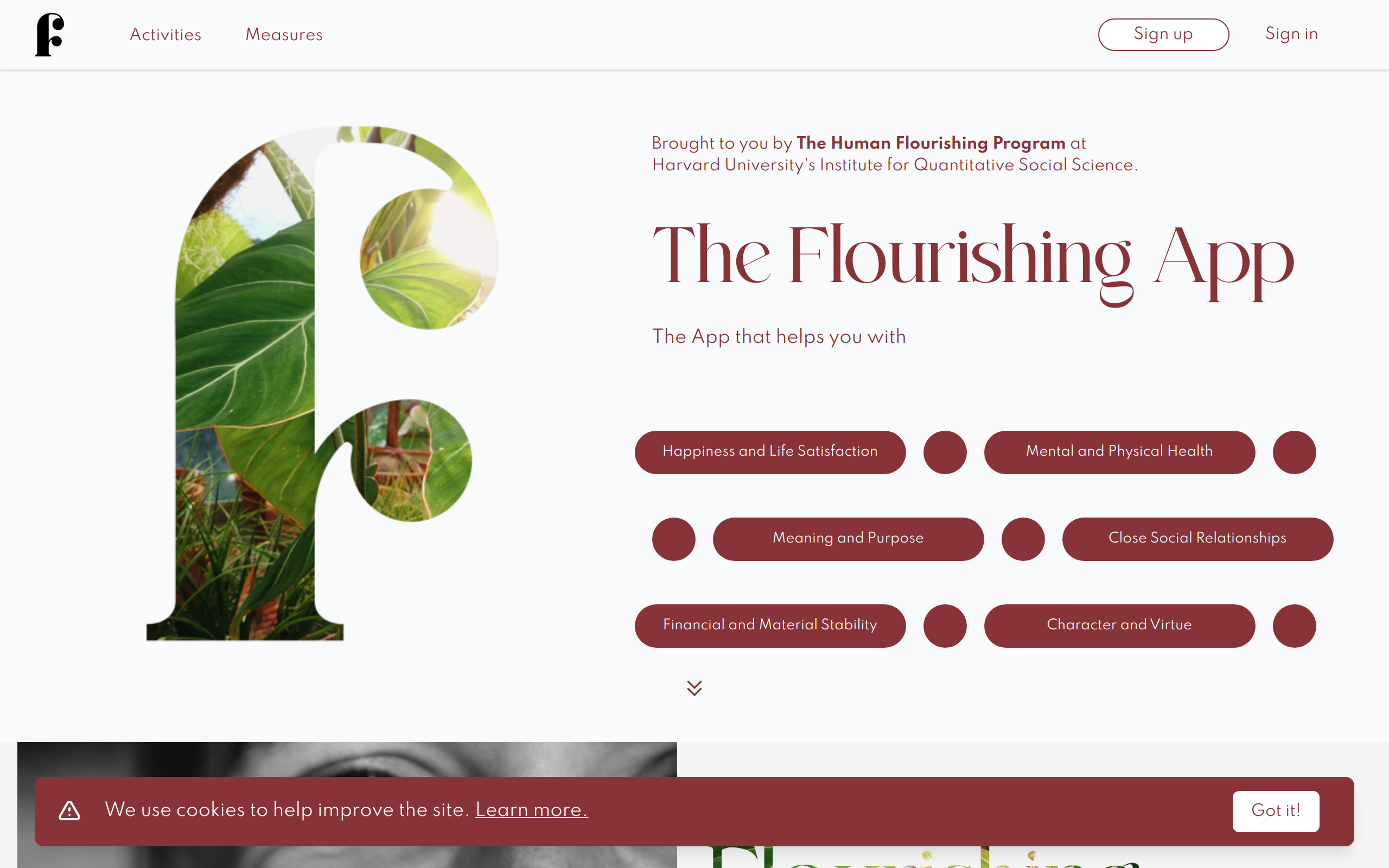 Thumbnail of Flourishing App