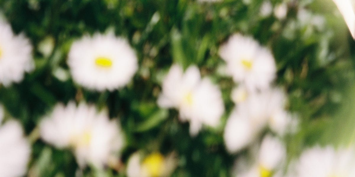 Thumbnail of creative agreements