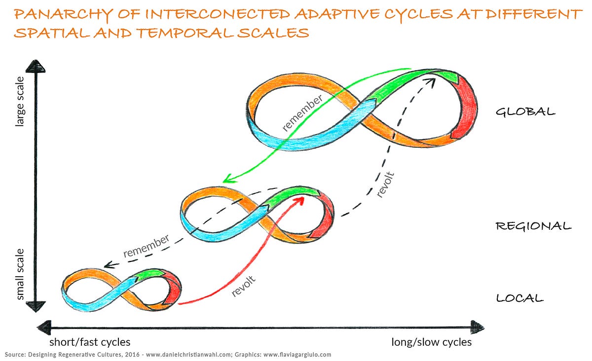 Thumbnail of Panarchy: a scale-linking perspective of systemic transformation