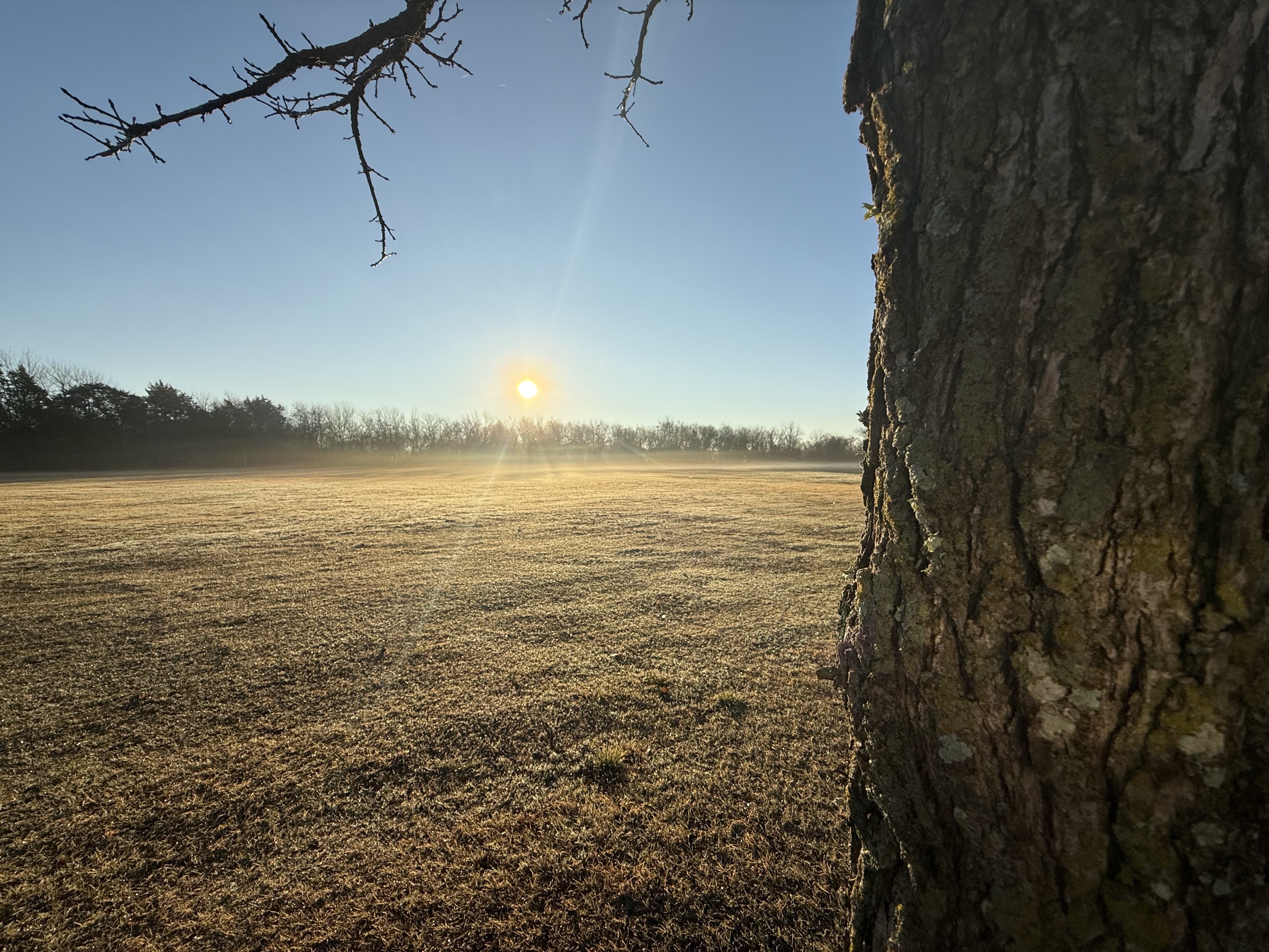 Preview of c4ca89945ec3-jpeg