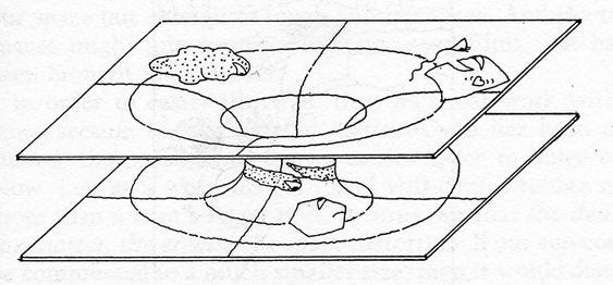 Thumbnail of How Individualism Changed the Economy