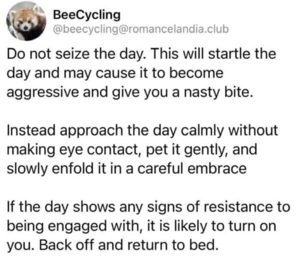 Preview of 1423-jpeg