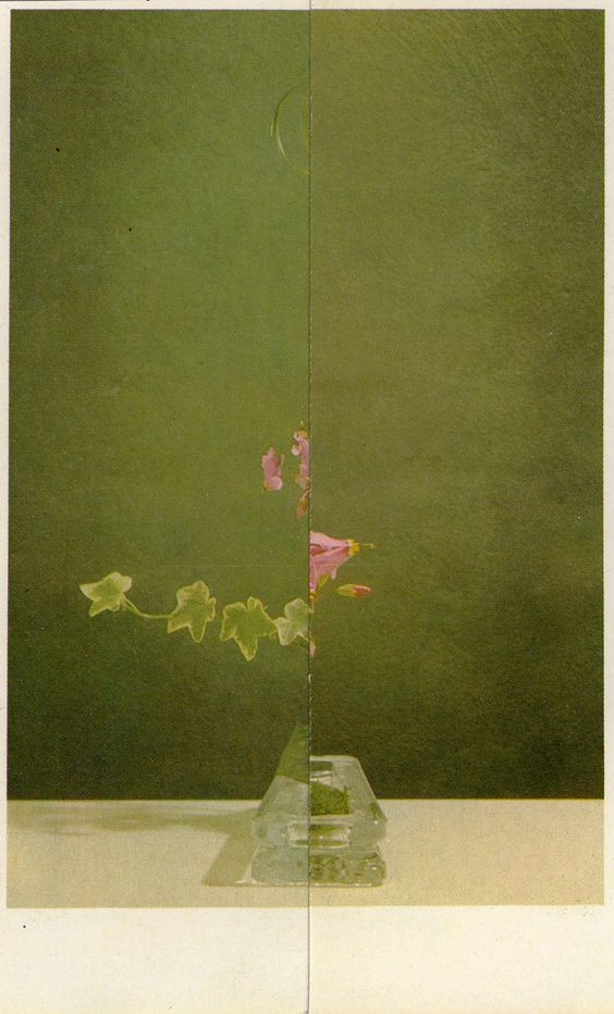 Thumbnail of Found on Cosmos