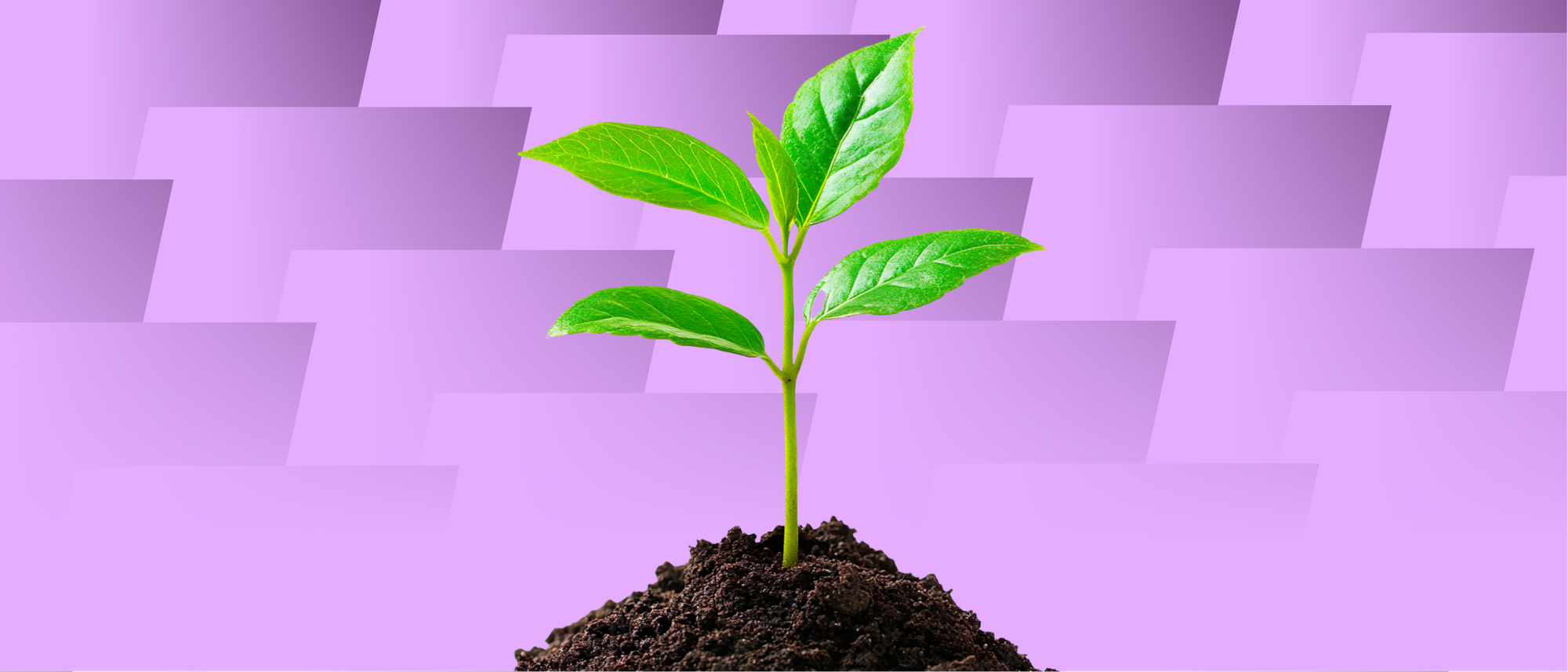 Thumbnail of Founder-Led Growth Playbook