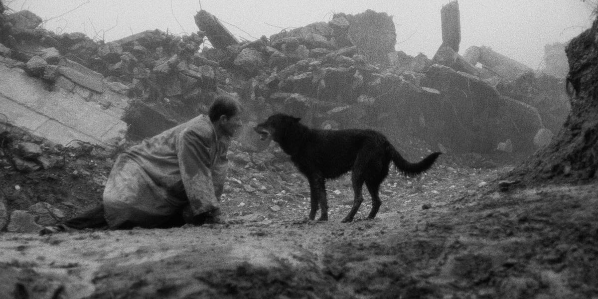 Thumbnail of A list of books and essays that I love