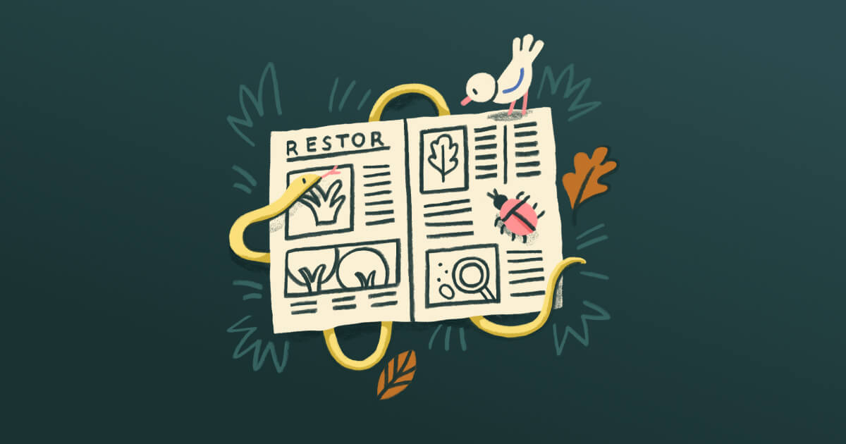 Thumbnail of Restor
