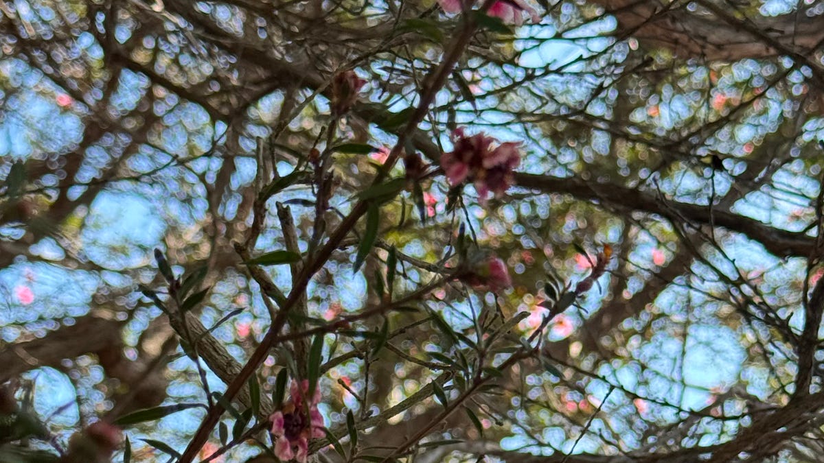 Thumbnail of Really... where do we now stand in TheFKATheFilmBiz?