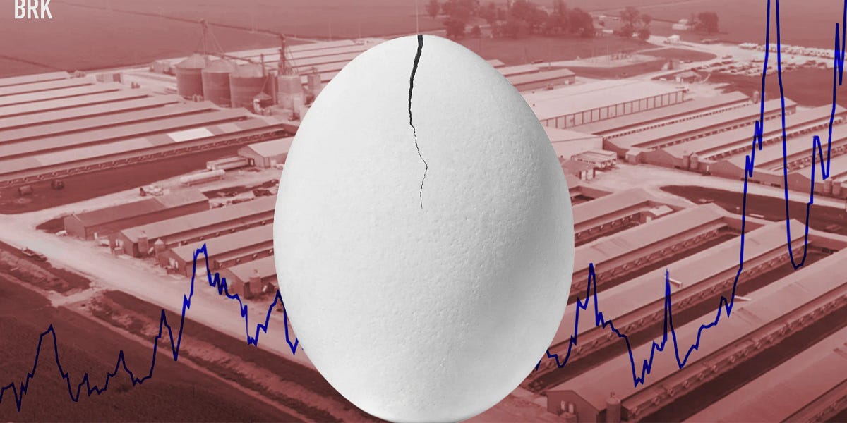 Thumbnail of Cracking Big Egg: Why the Industry’s Narrative Doesn’t Add Up