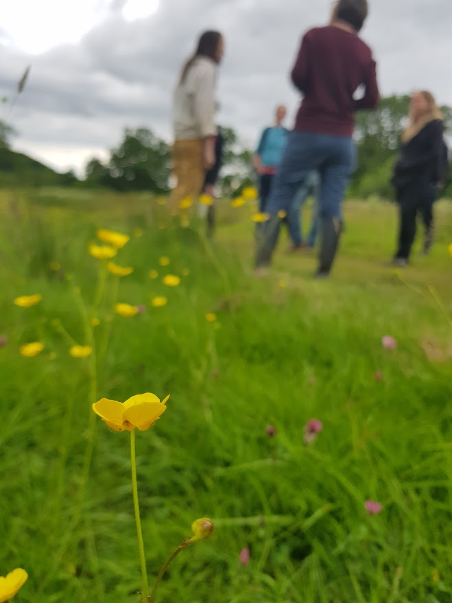 Thumbnail of About Bioregional Learning Centre • Fostering Resilience in South Devon