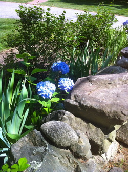 Thumbnail of A Garden Beyond Paradise, by Rumi