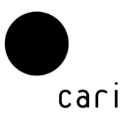 Thumbnail of CARI | Aesthetics