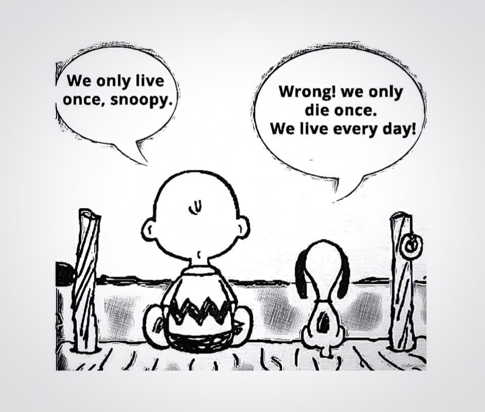 Preview of df82bbac865c-jpg