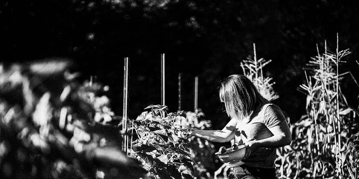 Thumbnail of Are We "Finding Our Purpose" All Wrong?