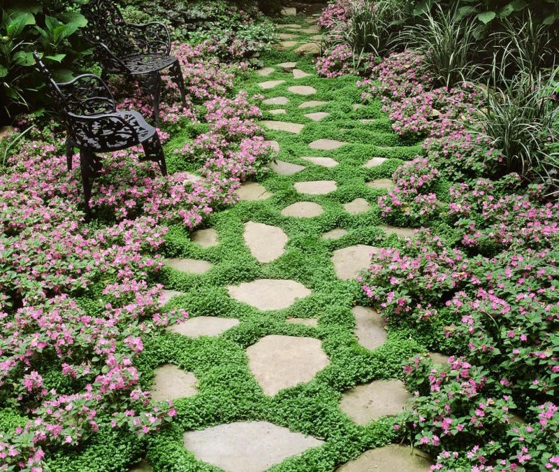 Thumbnail of is performative offline the new performative online?