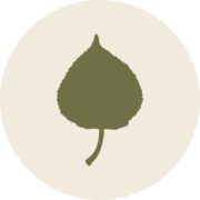 Thumbnail of Populus | Your Ideal Choice for Hotels in Denver, Colorado