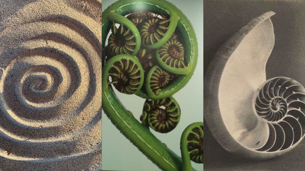 Thumbnail of Writing the Personal