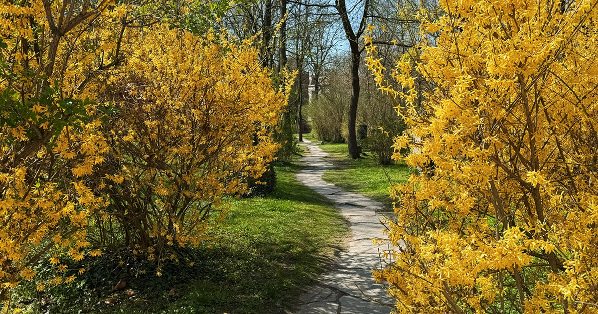 Thumbnail of What is Success