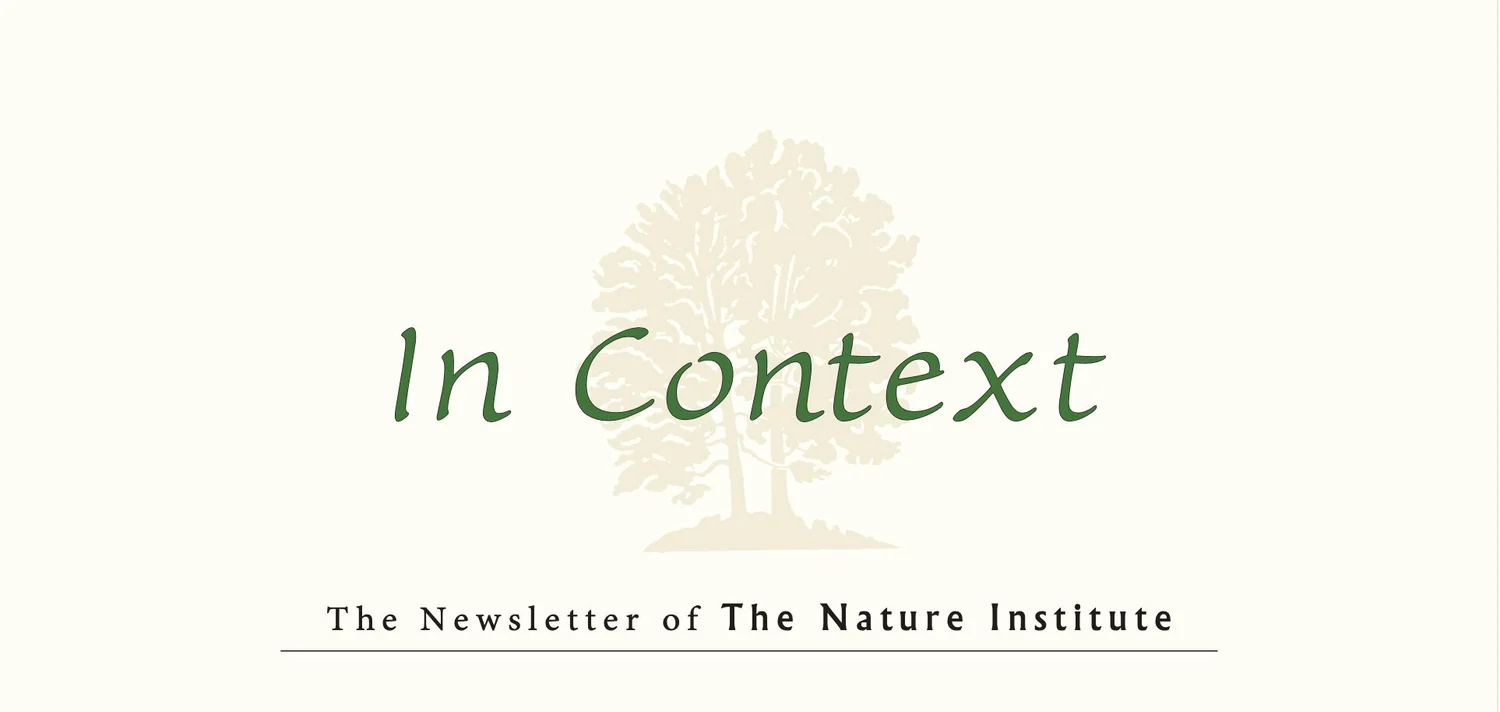 Thumbnail of In Context — The Nature Institute