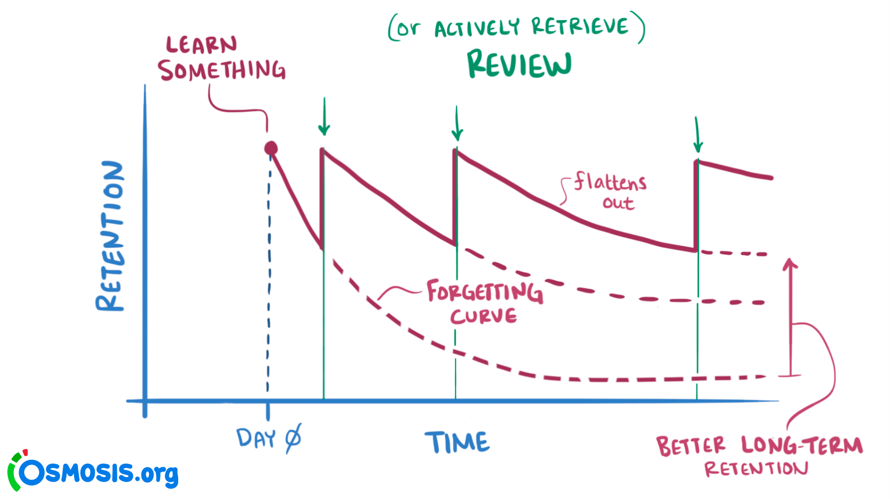 Thumbnail of Spaced Repetition Systems Have Gotten Way Better