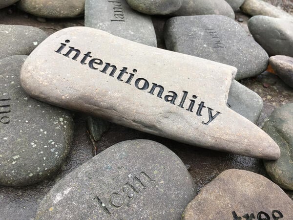 Thumbnail of The Power of Reflection in Career Planning (opinion)