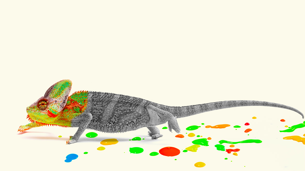 Thumbnail of When the Bold Leader You Hired Starts to Conform