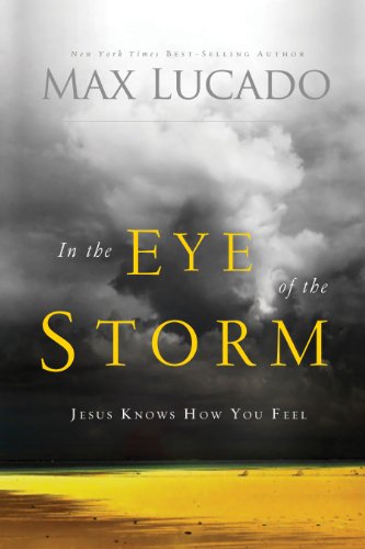 Cover of In the Eye of the Storm: A Day in the Life of Jesus (The Bestseller Collection)