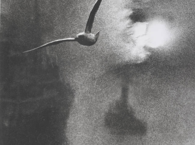 Thumbnail of Bill Brandt: working methods · V&A