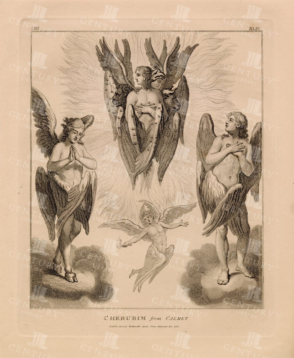 Thumbnail of cherubim - Google Search