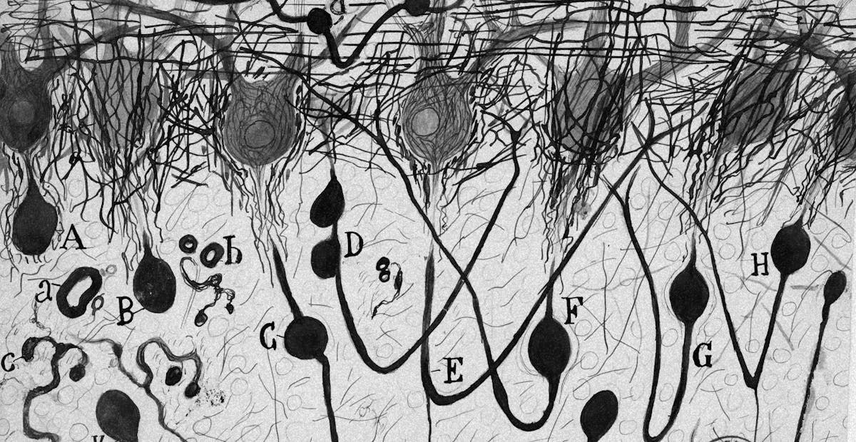 Thumbnail of The secret of good metaphors