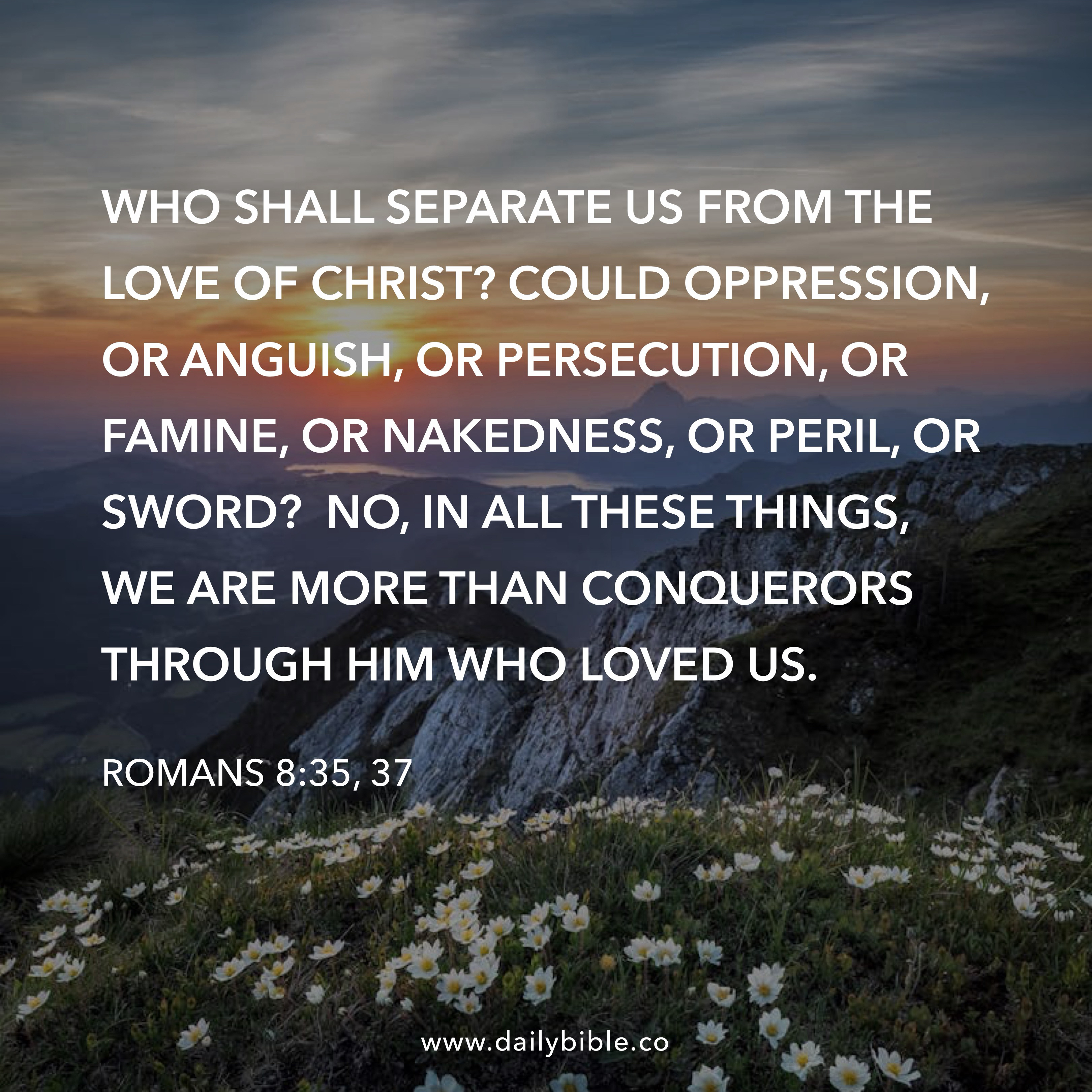 Preview of ab291bef4bca-jpg