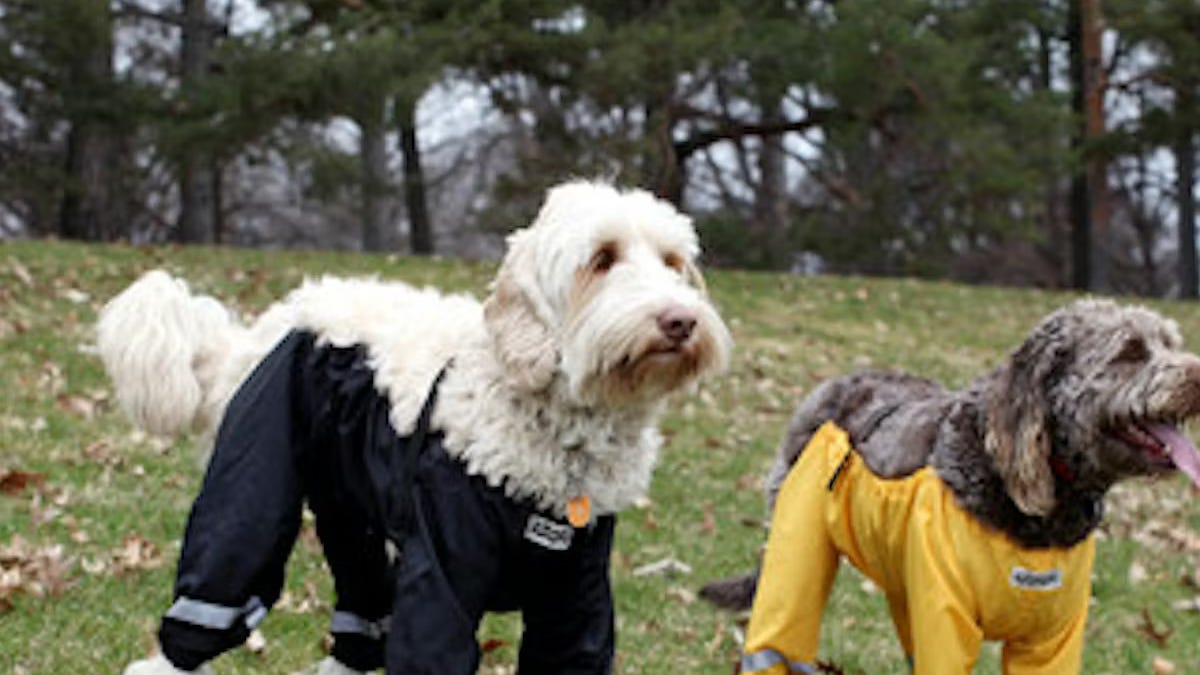 Thumbnail of Talking with Amanda Knox, Microdosing, Drinking Coffee, Reading Negative Reviews (not all at once)