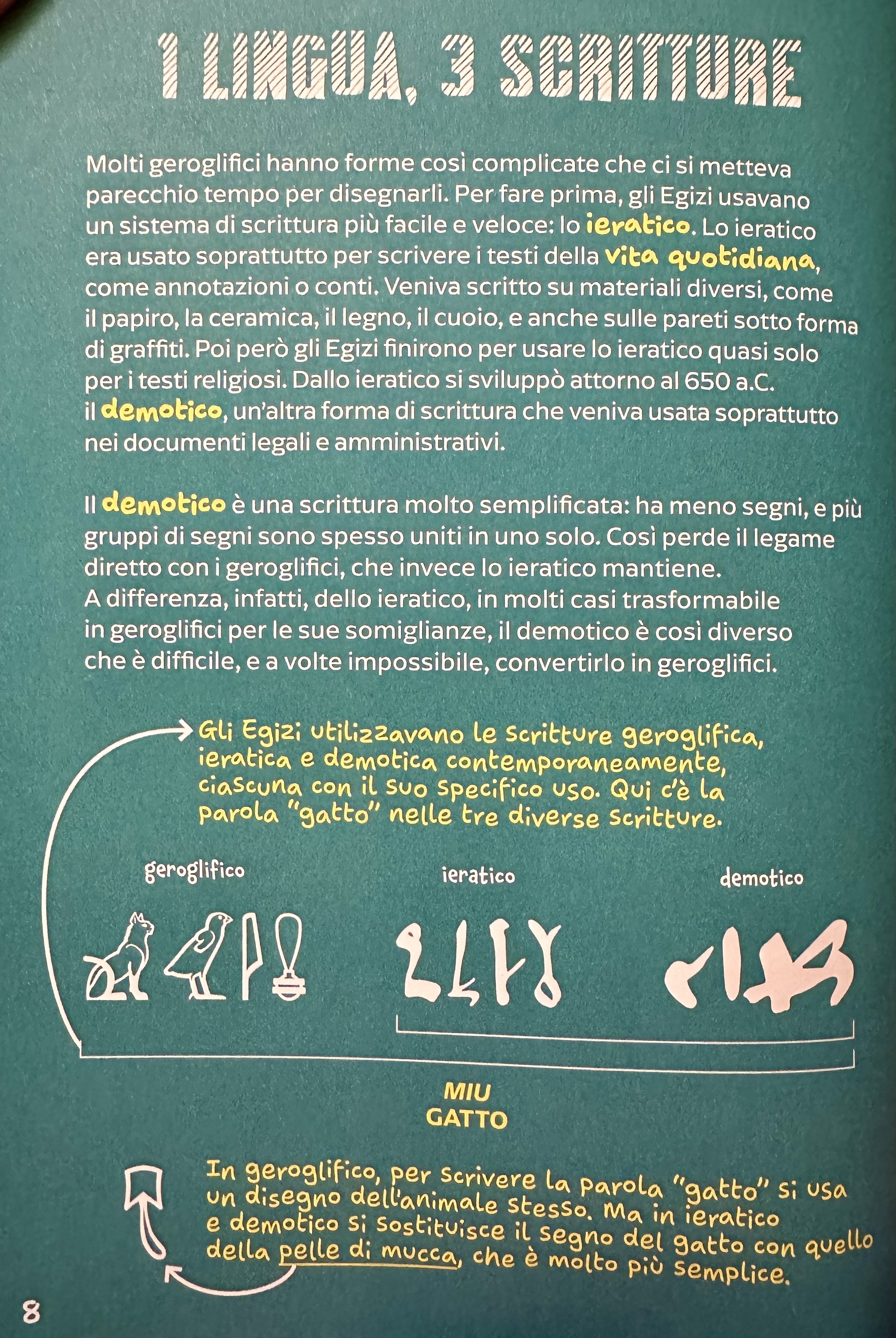 Preview of d4f4f96a12f9-jpeg