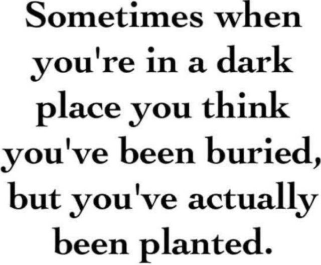 Thumbnail of img_7833.png | Are.na