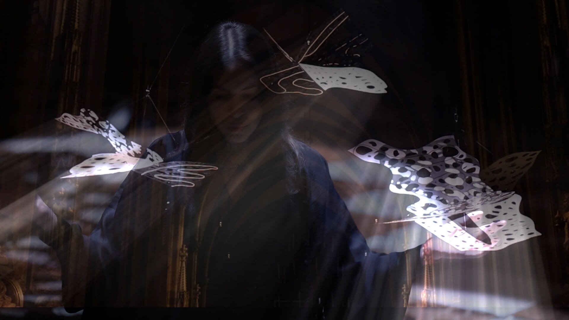 Thumbnail of Eva Petrič: We are like butterflies... - Festival Ljubljana