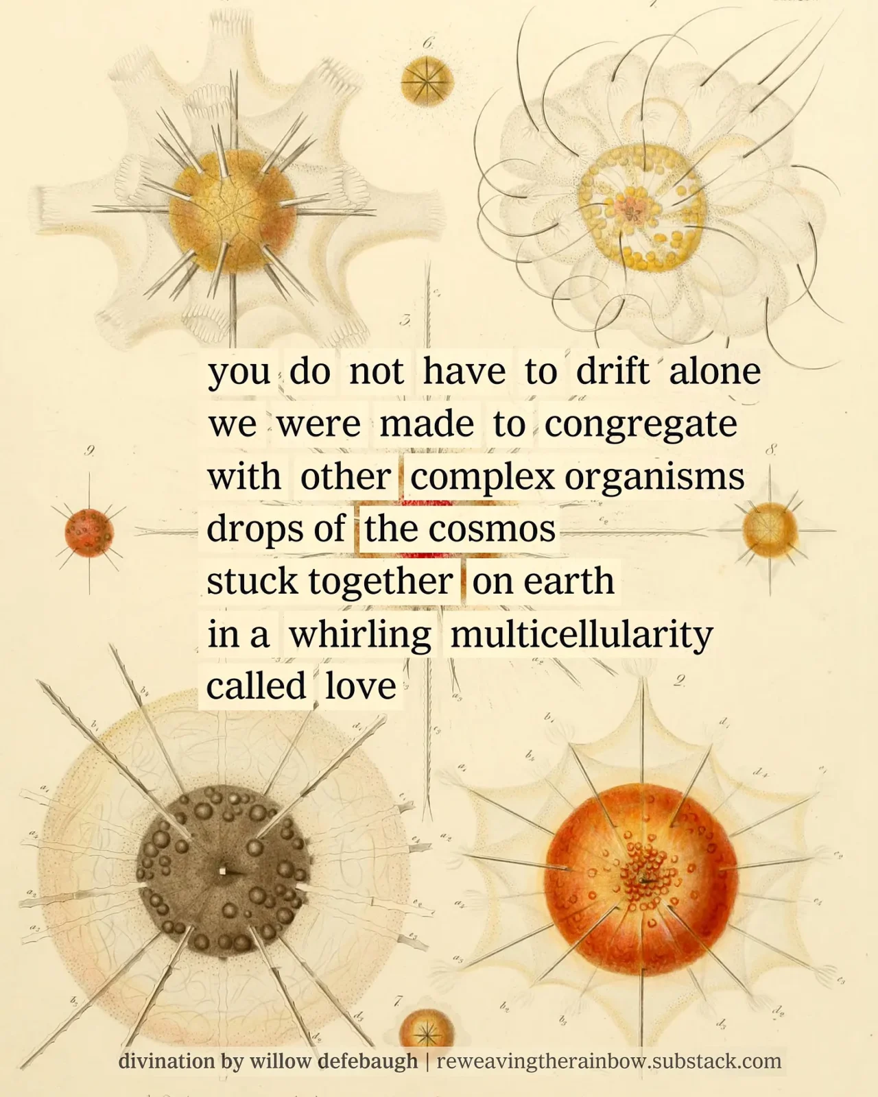 Thumbnail of Reweaving the Rainbow: Science, Poetry, and the Magic of Nature | Atmos