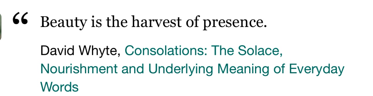 Preview of 04d46e0f728c-jpg