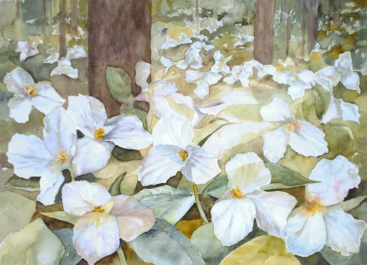 Thumbnail of Stillness as the Gateway to the Heart