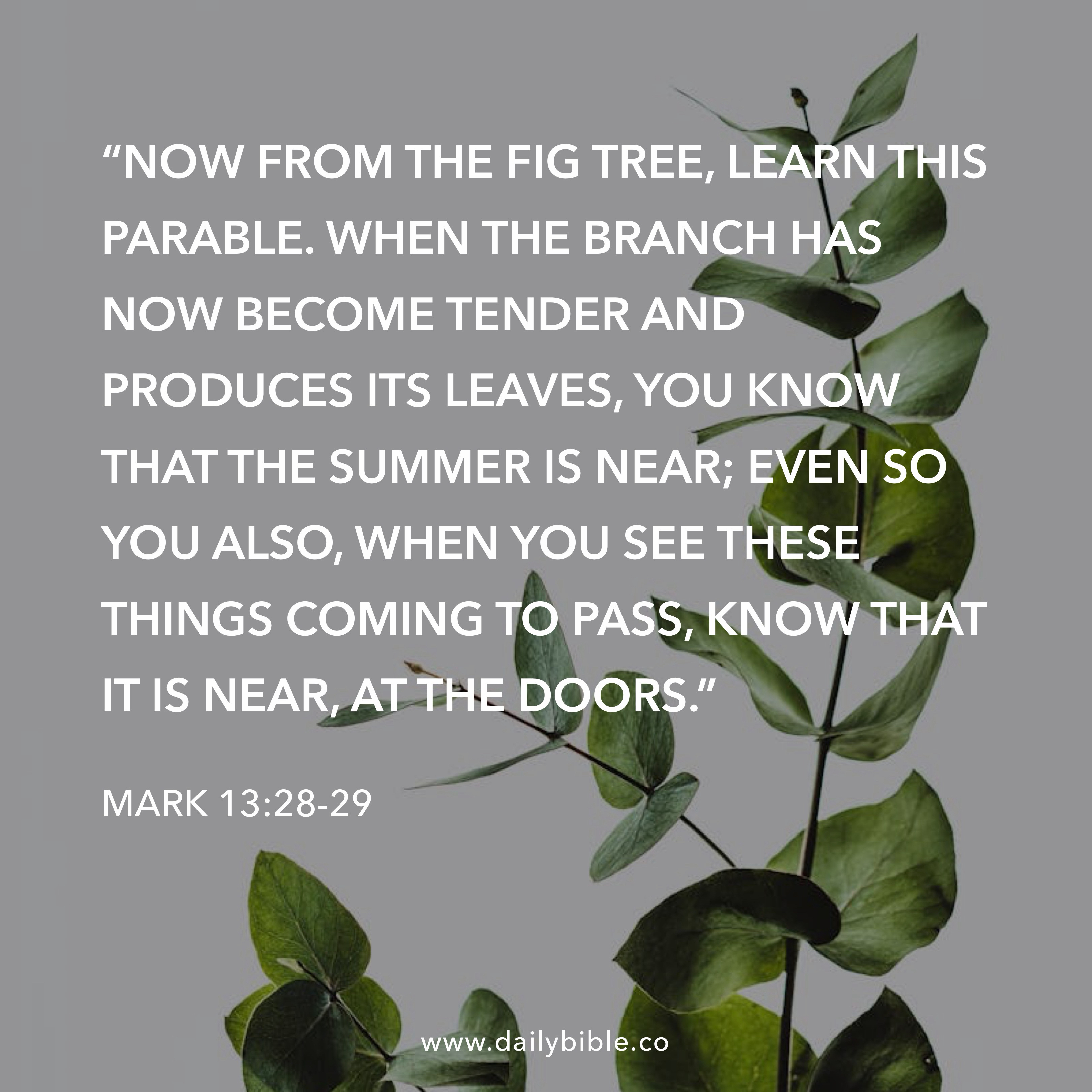 Preview of 7f4ff286e1ae-jpg