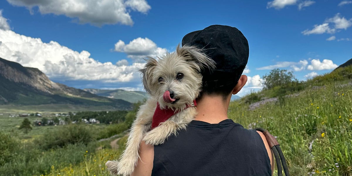 Thumbnail of A List of Things I Love