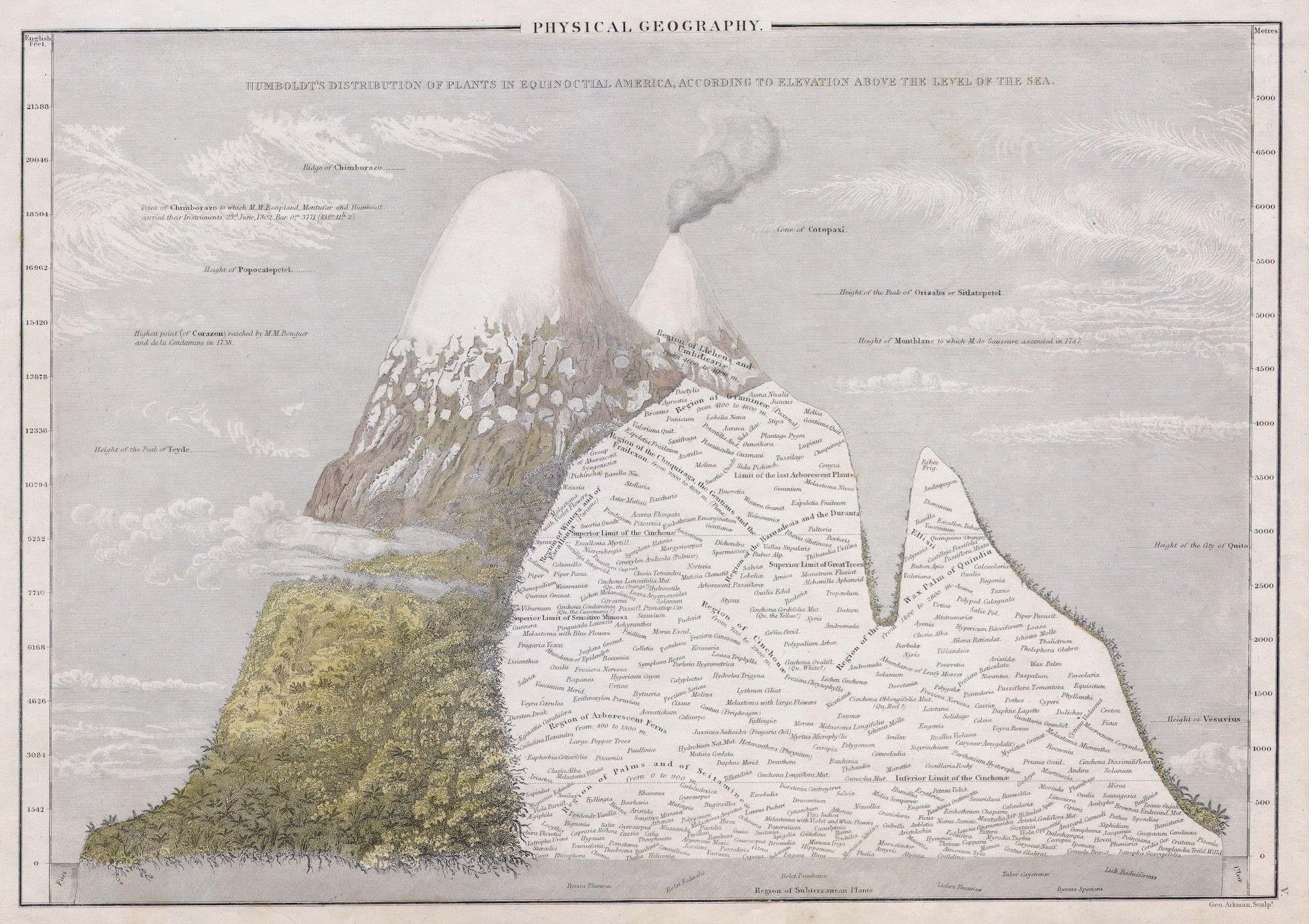 Thumbnail of Found on Cosmos