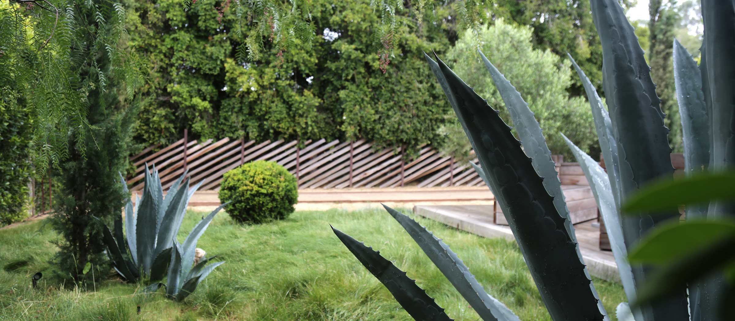 Thumbnail of Wilderness and Garden-Making, Post-Internet - Wonderground